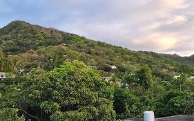 Backpackers Rental Room/Bathroom Only
